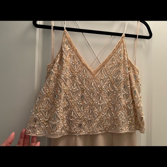 Adrianna Papell Blush Pink Beaded Gown - Picture 5 of 8